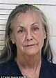 Walmart heiress Alice Walton will likely have DWI arrest expunged from ...