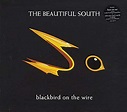 BEAUTIFUL SOUTH | Official Charts