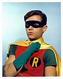 Picture of Burt Ward