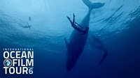 International OCEAN FILM TOUR Volume 6 | Official Trailer - YouTube