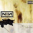 Nine Inch Nails - Closer (Precursor)