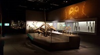 Lee Kong Chian Natural History Museum - HyperAir