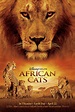 African Cats: Kingdom of Courage (#1 of 2): Extra Large Movie Poster ...