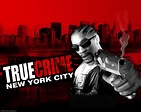 REVIEW: True Crime New York City - Ackratte Games