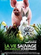 La Vie sauvage des animaux domestiques - film 2009 - AlloCiné