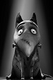 Sparky | Frankenweenie Wiki | Fandom