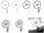 How to draw a simple flower step by step with pencil: 18 lessons - HOW ...