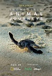 Incredible Animal Journeys (2023) | ScreenRant