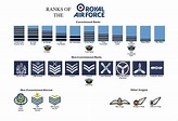 Large A3 Ranks of the Royal Air Force RAF Poster ( rank structure New ...