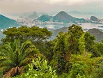 19 Amazing Things to do in Rio de Janeiro, Brazil - Destinationless Travel