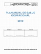 SSO - PLA - 001 Plan Anual de Salud Ocupacional 2019 APC | Seguridad y ...