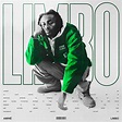 Aminé – Limbo | Album + Poster Artwork on Behance