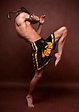 #남자 #무에타이 (With images) | Fighting poses, Poses, Martial arts styles