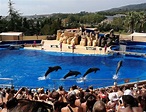 Marineland (Palafolls) - 2023 Lo que se debe saber antes de viajar ...