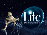 Life - Das Wunder Leben Trailer - YouTube