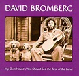 David Bromberg Band: You Should See the Rest of the Band