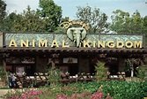 Disney's Animal Kingdom - DisneyWorld