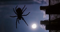 ‘Arachnophobia’: The Power of Denial and the Horror Always Left in Its ...