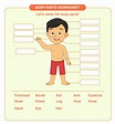 PARTS OF THE BODY-KIDS VOCABULARY | Create WebQuest