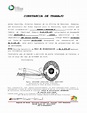 (PDF) Constancia Trabajo | danibel nazareth - Academia.edu