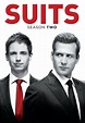 Suits: la clave del éxito Temporada 2 - SensaCine.com