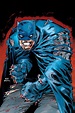 Batman: The Dark Knight Returns 10th Anniversary Edition cover by Frank ...