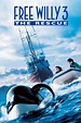 Free Willy 3: The Rescue Picture - Image Abyss
