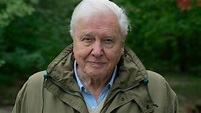 David Attenborough Is The Only Person To Win BAFTAs In Black & White ...