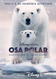 Polar Bear - película: Ver online completas en español