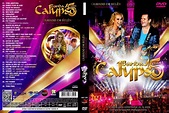 Download Banda Calypso 15 Anos Ao Vivo DVD-R