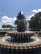 The fountain of youth : r/KnightsOfPineapple