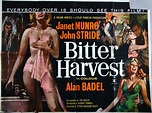 Bitter Harvest. 1963 | Classic movies, Old movies, Hird