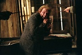 Harry Potter y el Prisionero de Azkaban Resumen Crítica | Pasión de cine