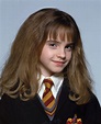 Emma Watson Harry Potter, Harry James Potter, Harry Potter Hermione ...