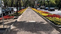 Abren sendero para ciclistas y peatones en camellón de Reforma ...