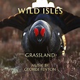 Wild Isles: Grassland - George Fenton