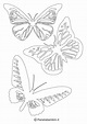 Sagome di Farfalle da Colorare e Ritagliare per Bambini | PianetaBambini.it