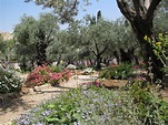 Gethsemane Garden | Holy Land Tour