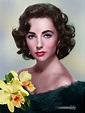 Liz Taylor, 1958 | Elizabeth taylor, Young elizabeth taylor, Elizabeth ...