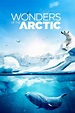 Wonders of the Arctic Pictures - Rotten Tomatoes
