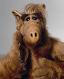 Catch Up With the Cast of 'ALF' 24 Years After the Series Ended ...