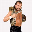 Jake the Snake | Jake the snake roberts, John cena wrestling, Wcw wrestlers