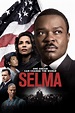 Selma wiki, synopsis, reviews, watch and download