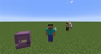 Entity – Official Minecraft Wiki