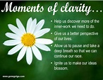Discover Clarity and Watch Your Ideas Bloom - GoneGirlGo