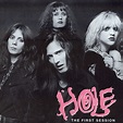 Prohibida su reproducción: Hole - Discografía. (Descarga)