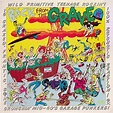 Back From The Grave Volume 5: 60's Garage Punk Compilation: Amazon.fr ...