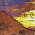 Tindersticks - Falling Down A Mountain (CD) - Amoeba Music