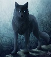 Black wolf by Whiluna on deviantART | Anime wolf, Perro lobo, Fotos de lobo