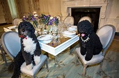Top Dogs at the White House - White House Historical Association